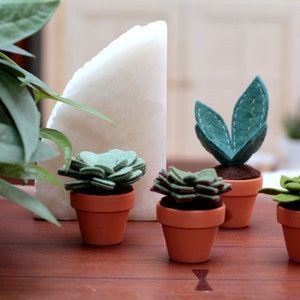 Fake Felt Succulent Sculpture, Small Artificial Potted Plant for Dorm Decor, Office Cubicle, or Apartment Decor Handmade by OrdinaryMommy image 5
