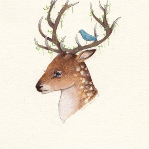 First Deer  print - SALE