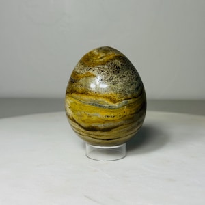Polychrome Jasper Egg – Golden Brown & Sandy Beige for Earthy Decor or Gifting | 0.9 lbs