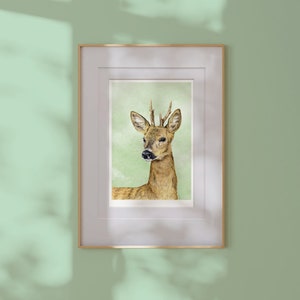 Small Art Print Roe Deer A6 size 4 x 5.75 10.5 x 14.8cm Scottish wildlife from original illustrations. Ideal gift for nature lovers image 2