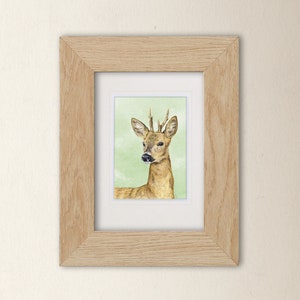 Small Art Print Roe Deer A6 size 4 x 5.75 10.5 x 14.8cm Scottish wildlife from original illustrations. Ideal gift for nature lovers image 1