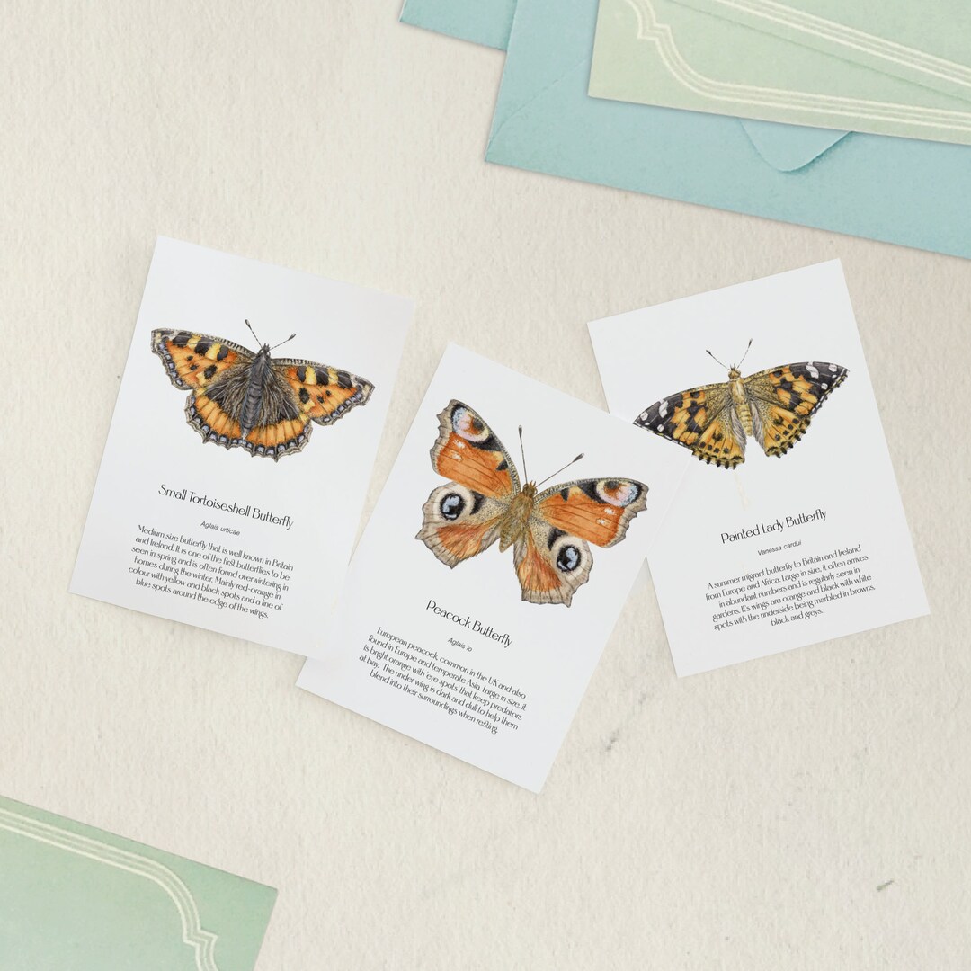 Butterfly Greetings Cards, Pack of 3 Blank Notelets Envelopes, Wildlife ...