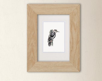 A6 Great Spotted Woodpecker Art Print - bird illustration from a watercolour painting, artwork gift for nature lover or ornithologist