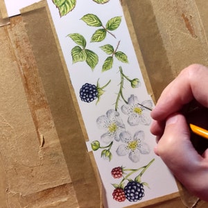 My hand shown painting details on bramble flowers. All of my prints are created from art and illustrations I have drawn and painted myself.