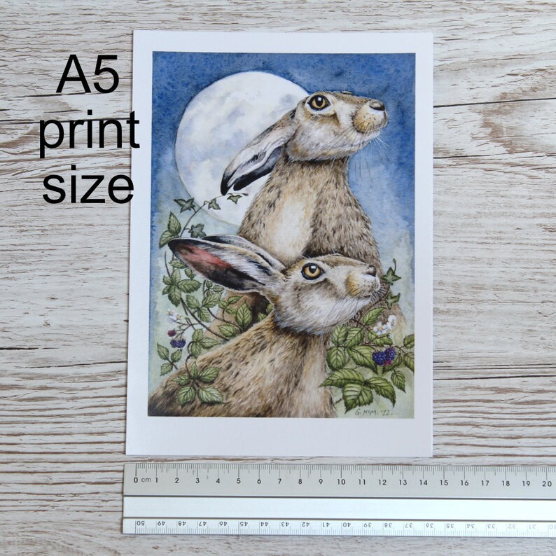 Moonlight Hares Wildlife Art Print A5 size 5.8x8.3 inch 14.8x21 cm nature illustration for animal lovers, unframed nature wall art image 5