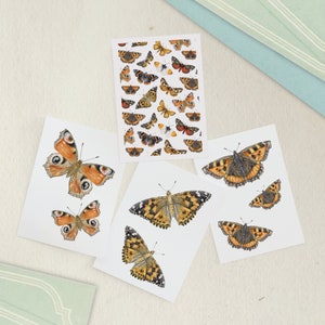 May include: A collection of four white rectangular sheets featuring detailed watercolor illustrations of various butterfly species in shades of orange, brown, black, and white, arranged in different patterns and sizes across the paper surfaces.