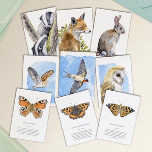 Watercolor Wildlife Greetings Card Set - 3 Blank Handmade Notelets - Choice of Designs