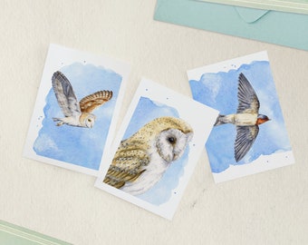 Bird greetings cards, pack of 3 A6 size blank notelets, multipack, barn owl & swallow card set - 10.5x14.8 cm (4.1x5.8")