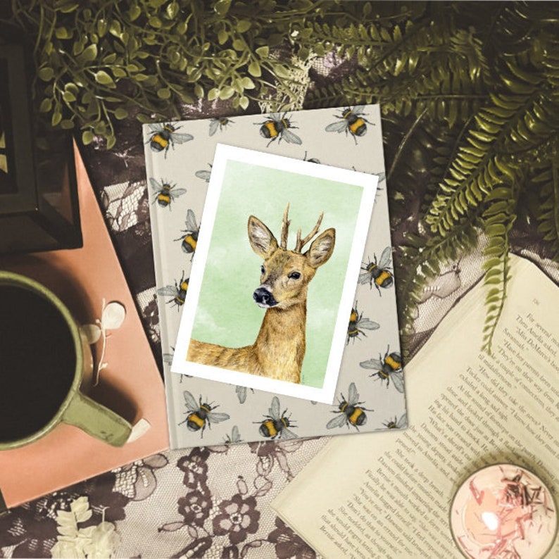 Small Art Print Roe Deer A6 size 4 x 5.75 10.5 x 14.8cm Scottish wildlife from original illustrations. Ideal gift for nature lovers image 4