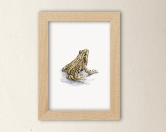 Frog Art Print - A6 size Amphibian Illustration from a Watercolour Painting, Artwork Gift for Nature Lover or Herpetologist