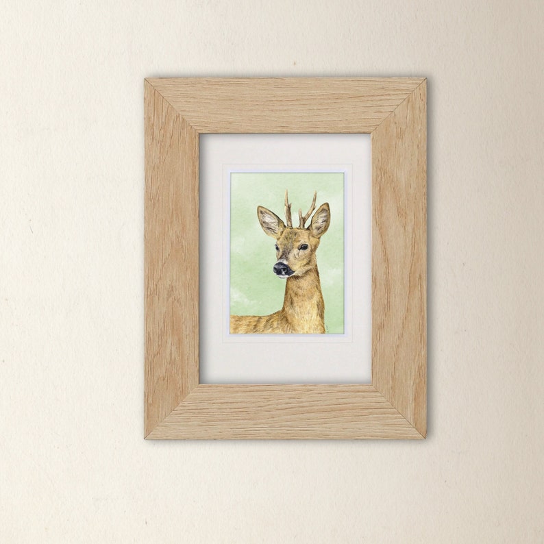Small Art Print Roe Deer A6 size 4 x 5.75 10.5 x 14.8cm Scottish wildlife from original illustrations. Ideal gift for nature lovers image 1