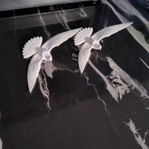 Friendship Doves