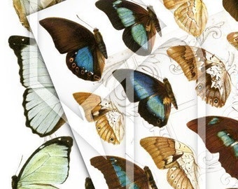 Butterfly Wings Digital Collage Print Sheet no41