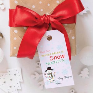 Hope Your Winter Break is Snow Much Fun Tag, Snowman Christmas Holiday Party Gift Tag, Printable Merry Christmas Favor Tags, Snack Treat Tag