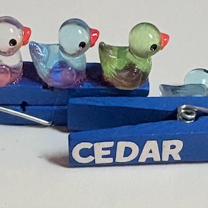 Set of 10 Custom cheer team competition pins with ducks!