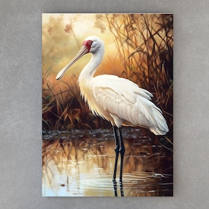 Spoonbill Marsh Canvas Art: Tropical Bird Coastal Print
