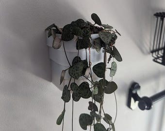 Wall Mounted No Fix Required Stepped Plant Pot