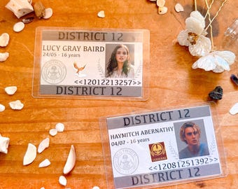 Die Tribute von Panem - Benutzerdefinierte Bezirksabzeichen