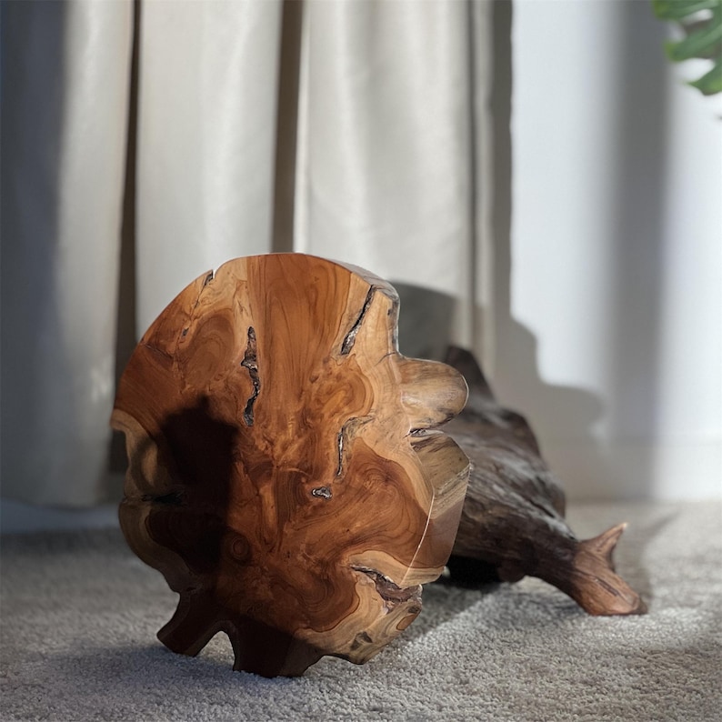 May include: A large, natural wood slice with a rich brown color and a unique grain pattern. The wood slice has a smooth, polished surface and is perfect for use as a decorative piece or a serving tray.