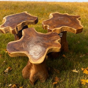 Handcrafted Teak Root Side Table: Rustic Live Edge Accent Table, Holiday Decor Gifts image 18