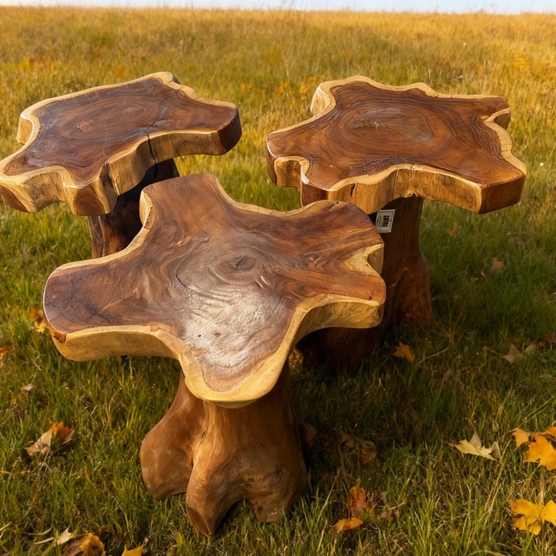 Handcrafted Teak Root Side Table: Rustic Live Edge Accent Table, Holiday Decor Gifts image 18