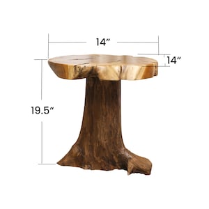 May include: A natural wood end table with a round top and a tree trunk base. The table measures 14 inches in diameter and 19.5 inches tall.