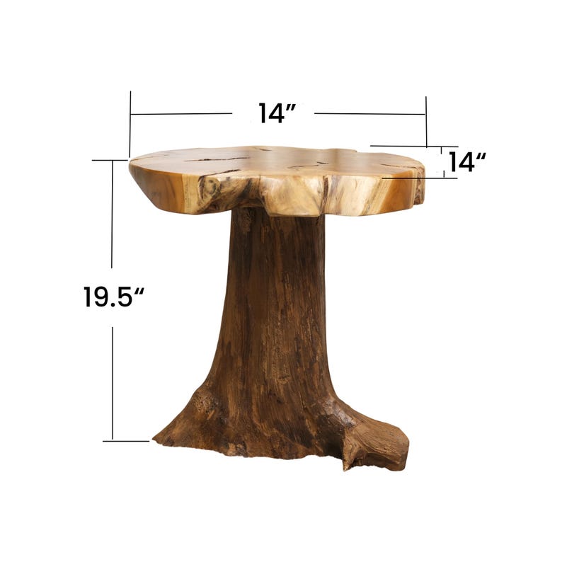 May include: A natural wood end table with a round top and a tree trunk base. The table measures 14 inches in diameter and 19.5 inches tall.