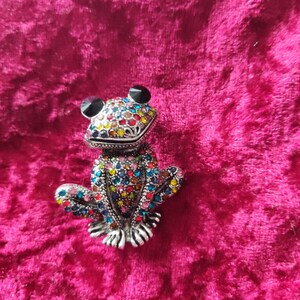 Puede incluir: Broche de rana plateada con multitud de pedrería de colores. La rana tiene ojos negros y está sobre una superficie de terciopelo rosa. El broche es un accesorio decorativo.