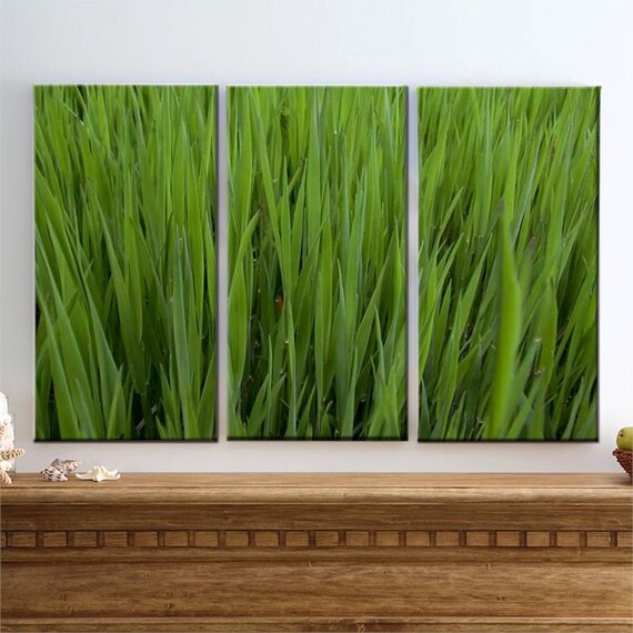 Items similar to Sale, Green Zen Canvas Art, Wheat Grass, Green