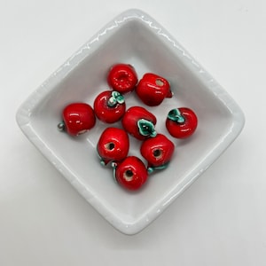 Perline di mela fatte a mano - NOVE perline focali forate orizzontalmente - regalo perfetto per l'insegnante - G256