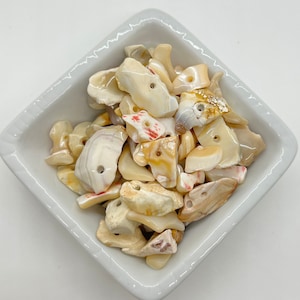 Könnte beinhalten: Eine weiße Keramikschüssel gefüllt mit verschiedenen natürlichen Muscheln. Die Muscheln sind in Creme-, Weiß- und Hellbrauntönen gehalten, mit einigen roten und rosafarbenen Akzenten. Die Muscheln sind alle in verschiedenen Formen und Größen und haben gebohrte Löcher.