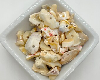 Shell Beads - about 74 beads - pieces of cream colored shell - G263