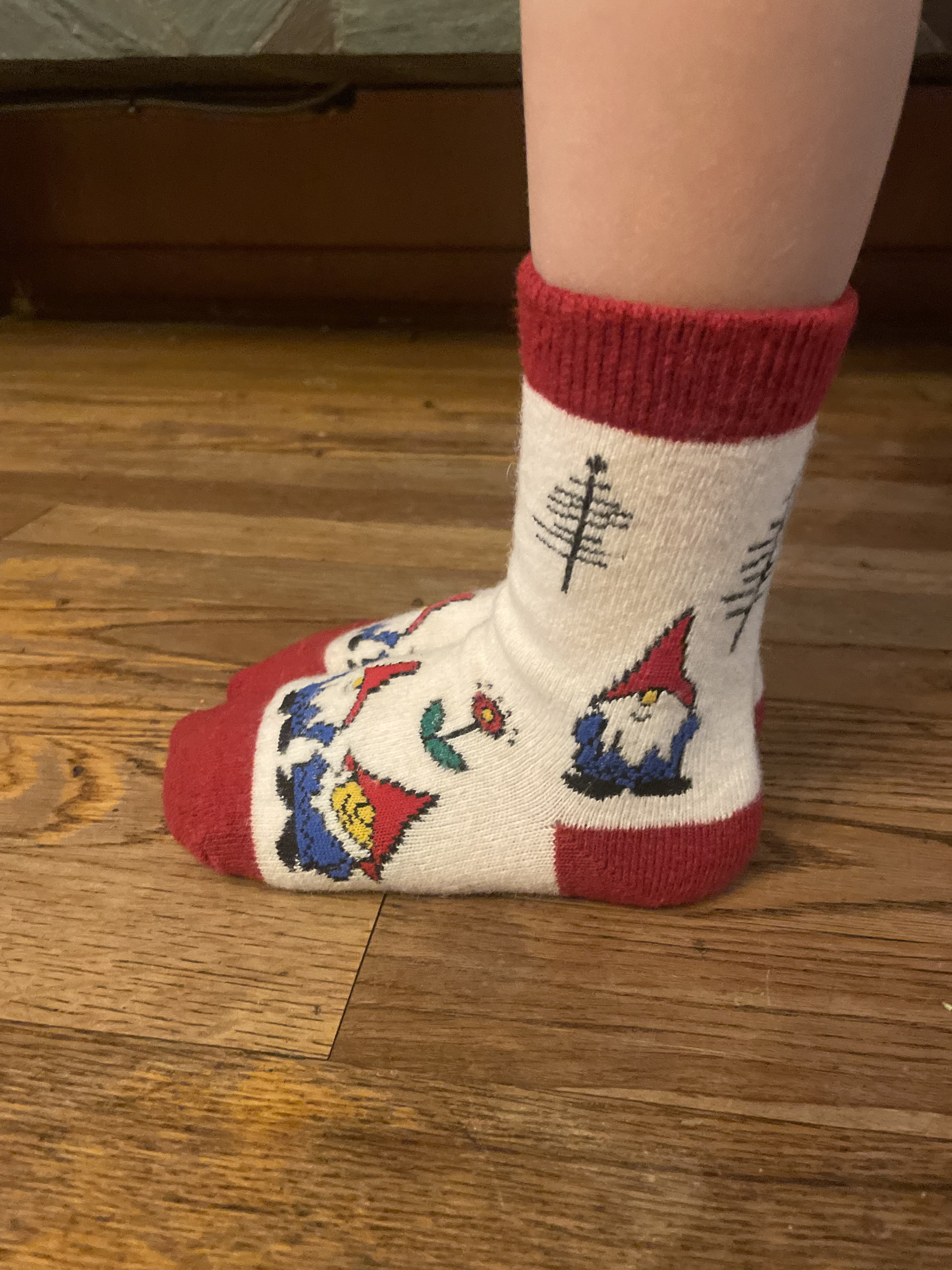 Gnome Merino Blend Kids Socks 2-5 years old