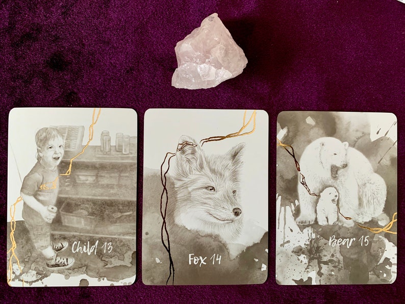 May include: Three cards from a deck of animal oracle cards. The cards are laid out in a row from left to right. The first card is Child 13, and features a black and white image of a young boy. The second card is Fox 14, and features a black and white image of a fox. The third card is Bear 15, and features a black and white image of a mother bear and her cub.