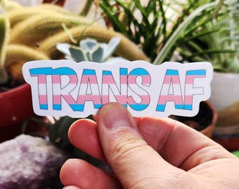 Trans AF Vinyl Sticker: Weatherproof Pride Decal (4x1.25"), Trans Stickers