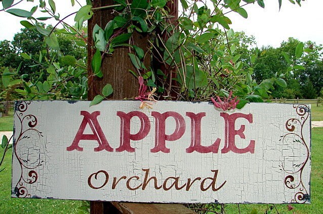 APPLE Orchard Sign 10X24 Vintage Style Signs Handmade Shabby - Etsy