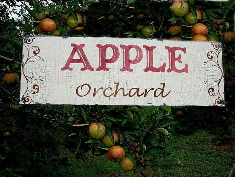 APPLE Orchard Sign 10X24 Vintage Style Signs Handmade Shabby - Etsy