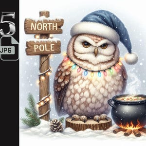 Hibou majestueux au pôle Nord avec des cliparts de soupe fumante, art hibou d'hiver, illustration de hibou de Noël, décoration des fêtes, 5 fichiers JPG, usage commercial