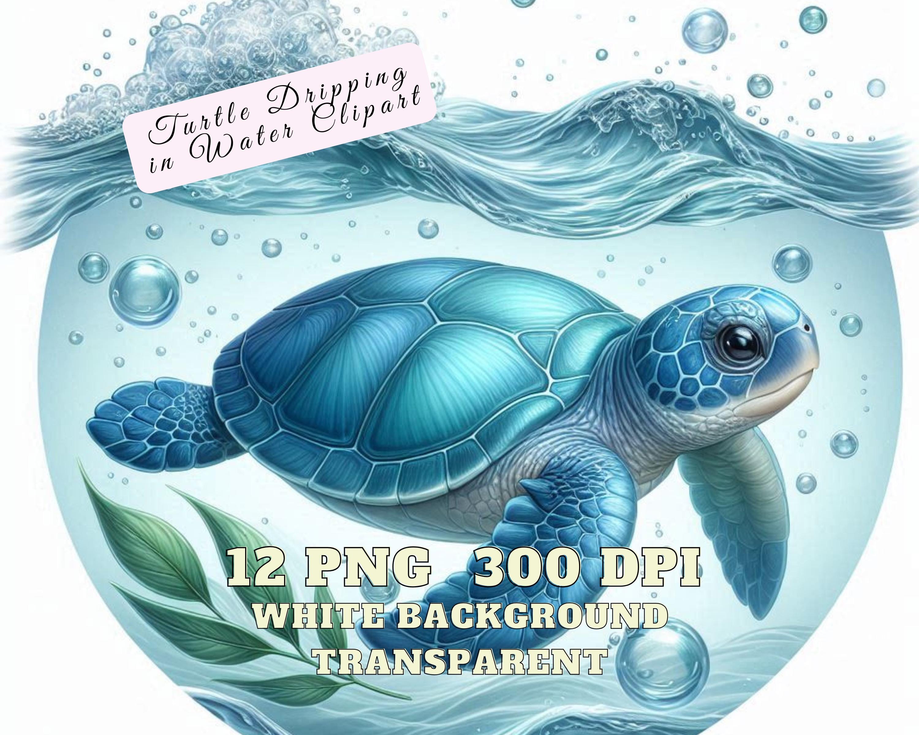 Sea Turtle Clipart, Turtle Dripping in Water Clipart, 12 Baby Turtle ...