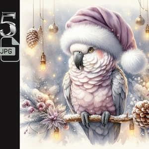 Perroquet violet dans des cliparts bonnet de Noel, Art oiseau de Noël, Illustration de perroquet d'hiver, décoration de Noël, 5 fichiers JPG, clipart JPG imprimable perroquet