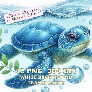 Sea Turtle Clipart, Turtle Dripping in Water Clipart, 12 Baby Turtle PNG, Ocean Animals Clipart, Cute Sea Turtle Clipart Cute Turtle Images