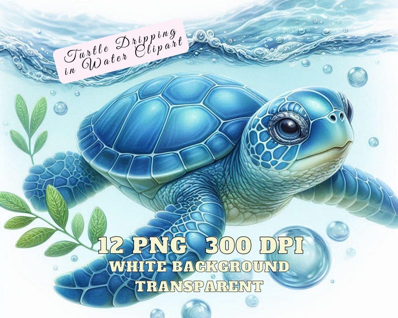 Sea Turtle Clipart, Turtle Dripping in Water Clipart, 12 Baby Turtle ...