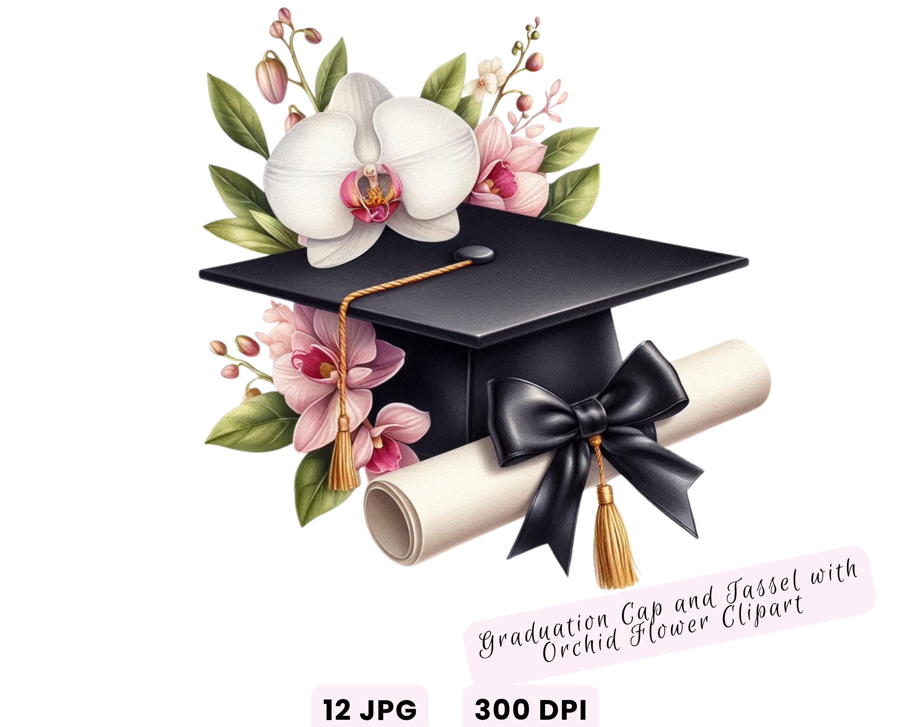 Watercolor Diploma and Cap With Flower Clipart, Graduation Clipart ...