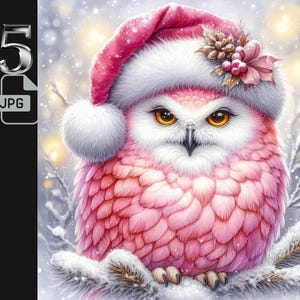 Coruja Rosa da Neve em Chapéu de Papai Noel Clipart, Coruja de Natal Clipart, Ilustração de Coruja de Inverno Bonita, Arte de Coruja de Férias, Gráficos de Coruja Festiva, 5 Arquivos JPG