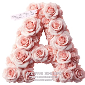 Adorable alfabeto de rosa rosa Clipart, rosa rosa PNG Clipart Fuente rosa Alfabeto floral Clipart Alfabeto de flores rosadas Paquete comercial