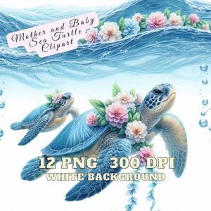 Mère et bébé des cliparts tortue de mer, maman et bébé des cliparts tortue de mer, mignon tortue de mer PNG, clipart bébé tortue de mer, Illustration animaux de l'océan