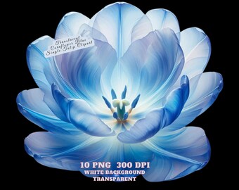 Imágenes prediseñadas de tulipán azul, flores primaverales en acuarela, adorable tulipán en primavera PNG, uso comercial, descarga digital para manualidades, decoración y revistas basura.