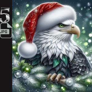 Águia esmeralda em chapéu de Papai Noel clipart, 5 pássaros de Natal JPG, ilustração de águia festiva de feriado, arte de Natal da vida selvagem, download digital, 300 DPI