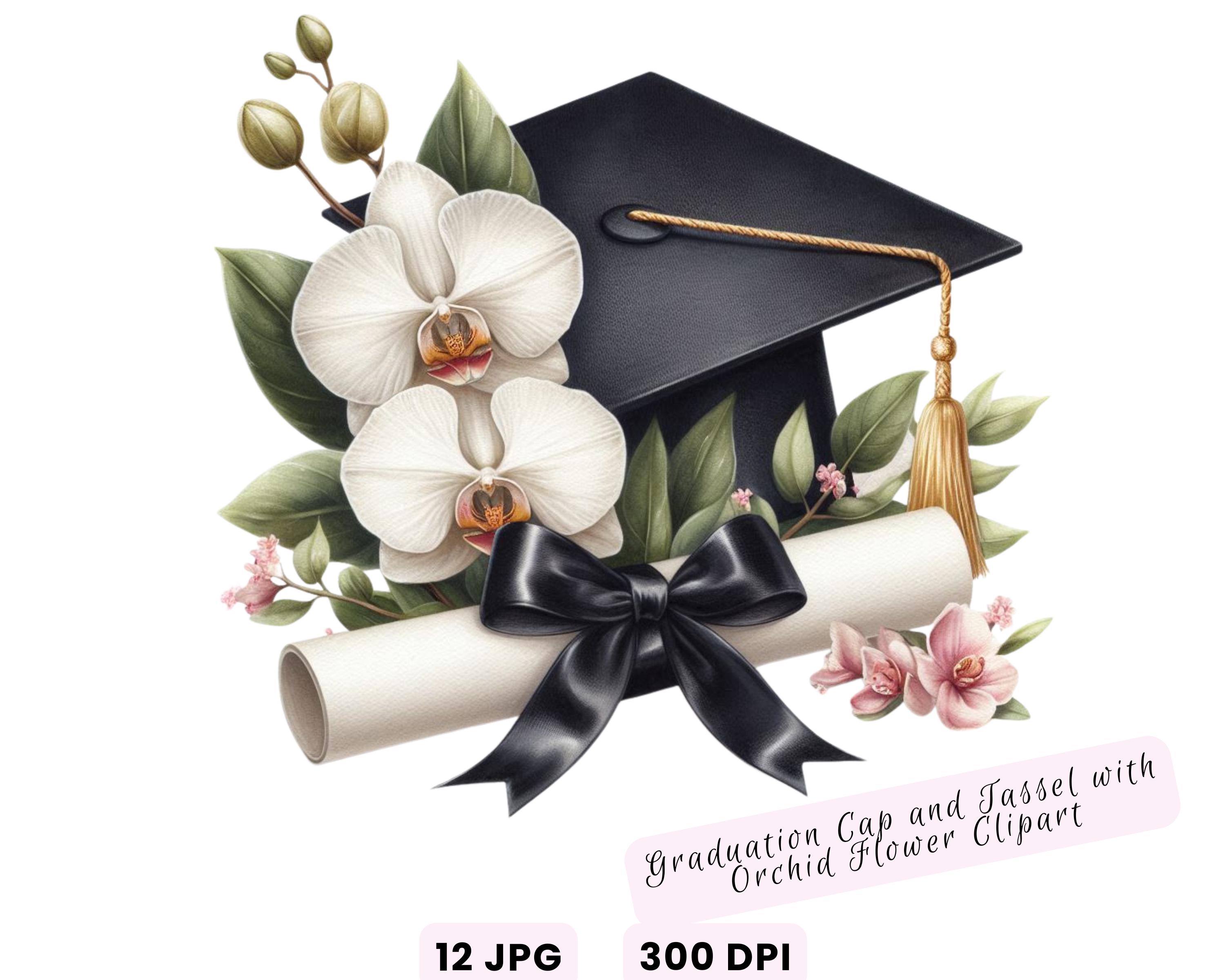 Watercolor Diploma and Cap With Flower Clipart, Graduation Clipart ...