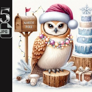 Hibou d'hiver au pôle Nord avec des cliparts de gâteau, hibou de Noël art JPG, illustration d'animaux de vacances, journal indésirable, fichier 5 JPG, usage Commercial